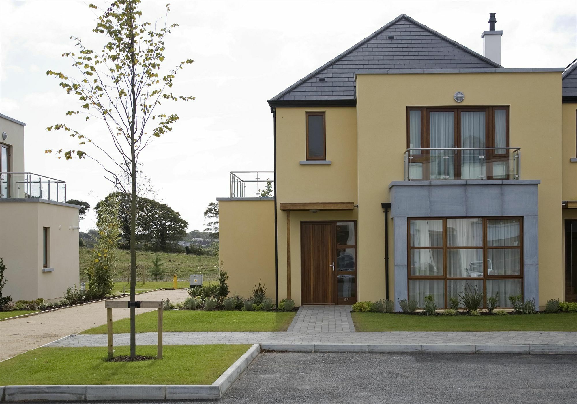 Waterford Castle Hotel & Golf Resort Ballinakill  Kültér fotó