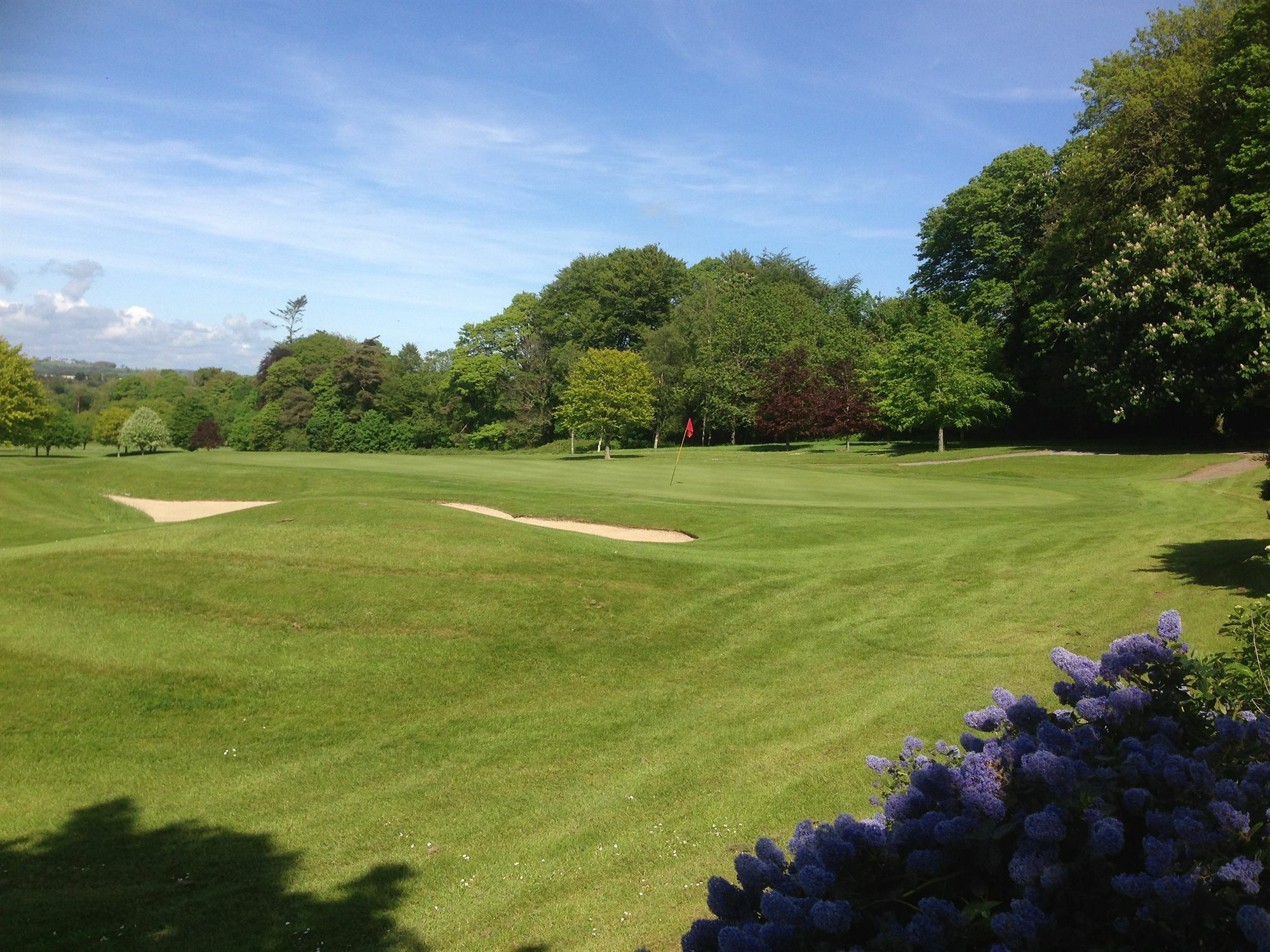 Waterford Castle Hotel & Golf Resort Ballinakill  Kültér fotó